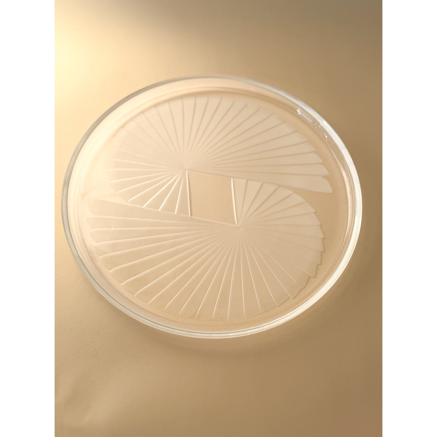 Lenox Crystal Nautilus Platter