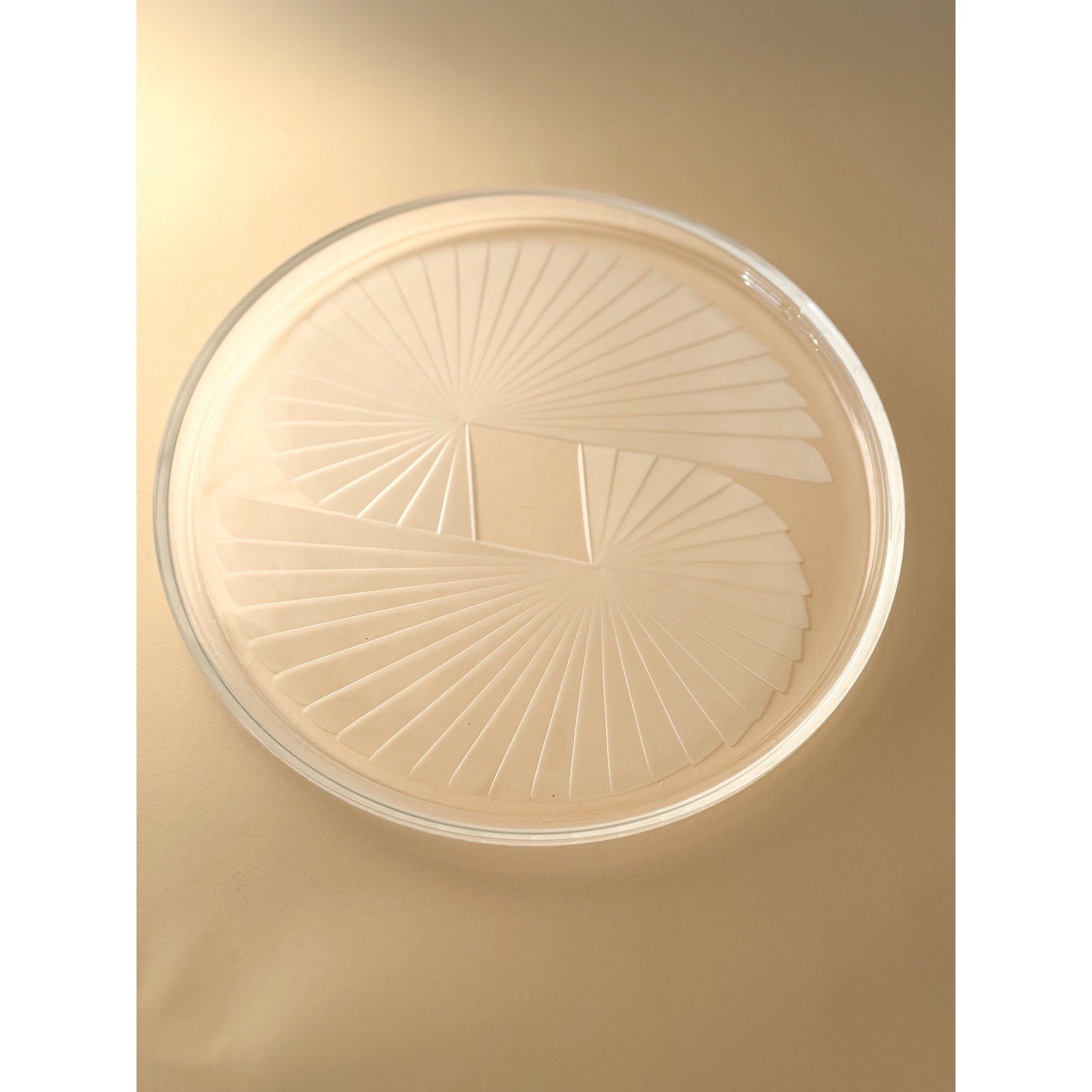 Lenox Crystal Nautilus Platter