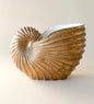 Vintage Ceramic Nautilus Planter