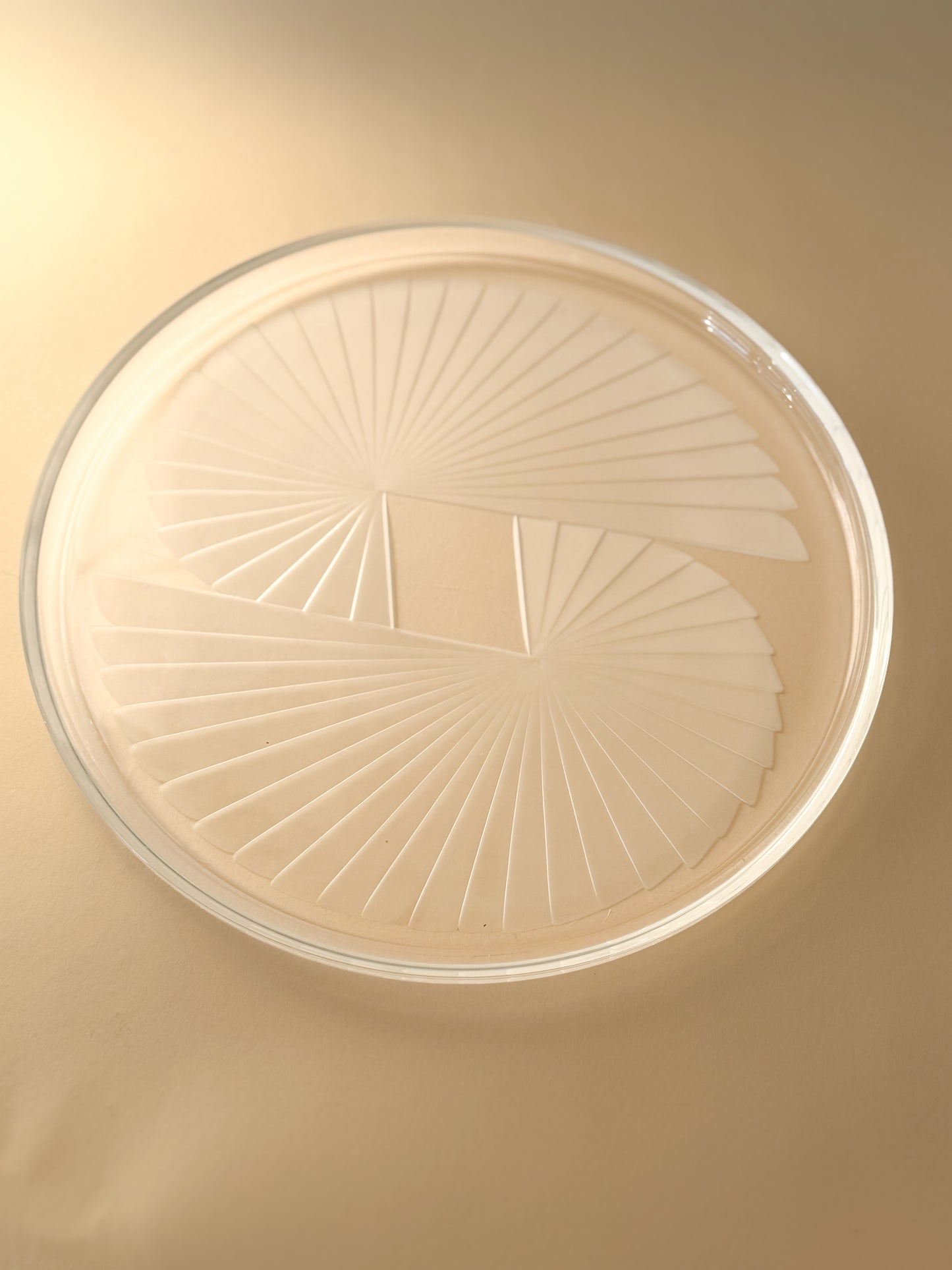 Lenox Crystal Nautilus Platter